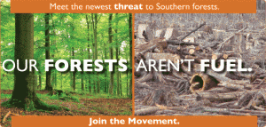 Our Forests Aren't Fuel