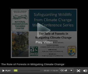Carbon Canopy Forests and Climate