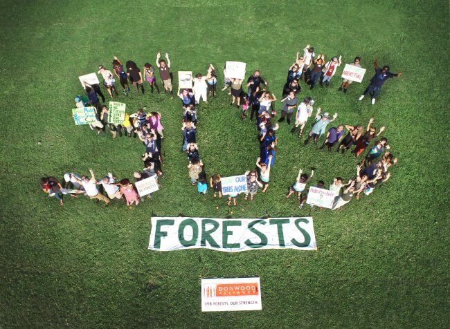 Save Our Southern Forests SOS