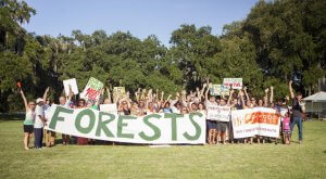 Save our Forests Group Photo
