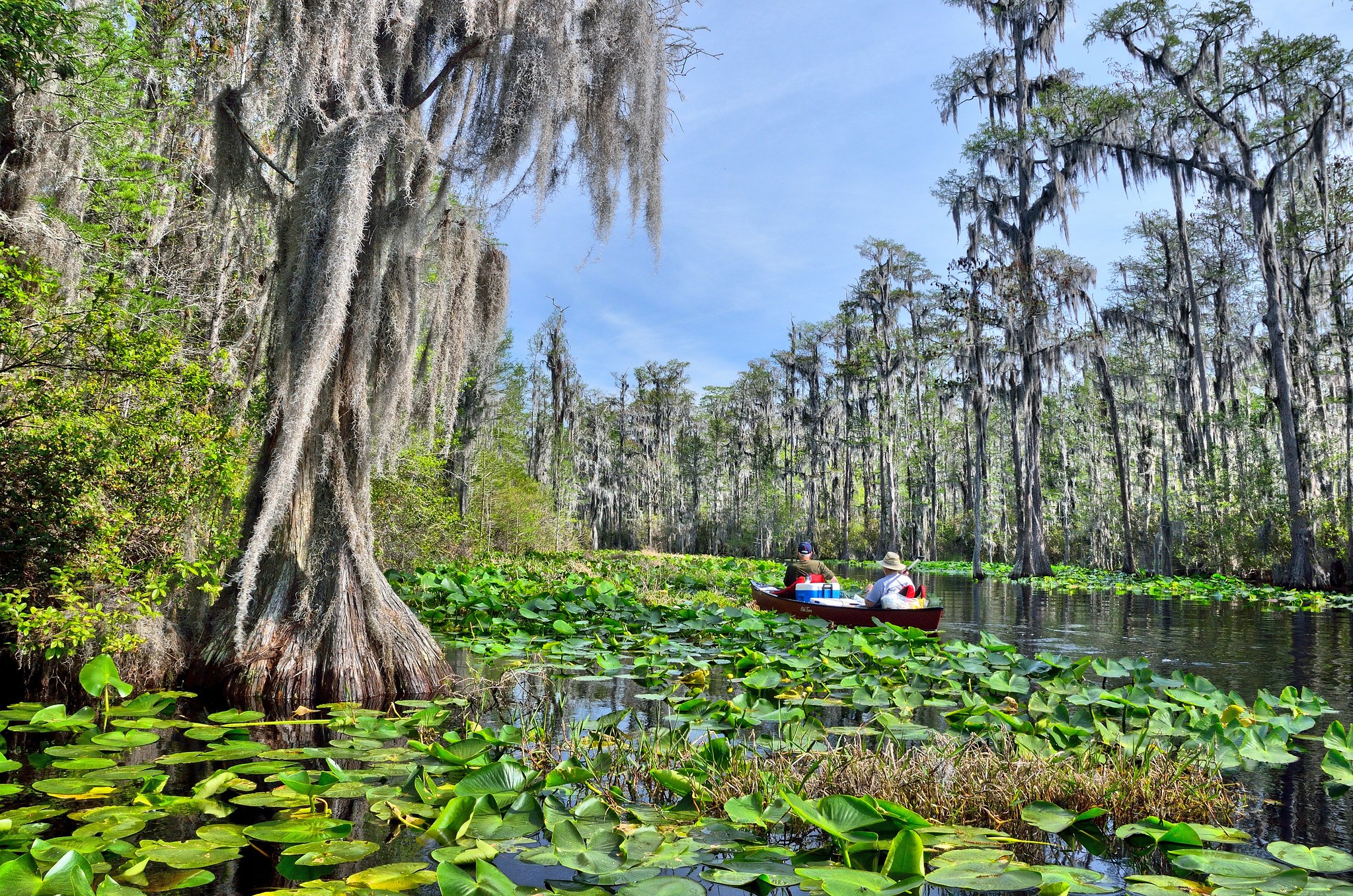 okefenokee-swamp-kayakers