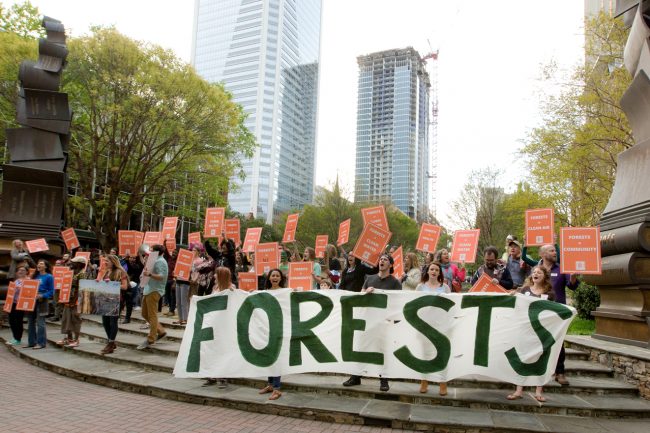 Dogwood Alliance_Stand Tall With Forests_Web_AMP_20160411_325crop