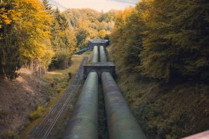 a pipeline traveling through a forest