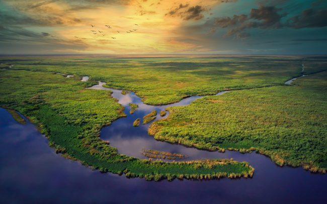 an aerial view of the everglades