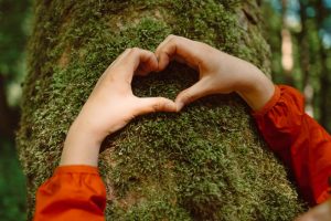 a person making a heart with their hands in front of a tree trunk
