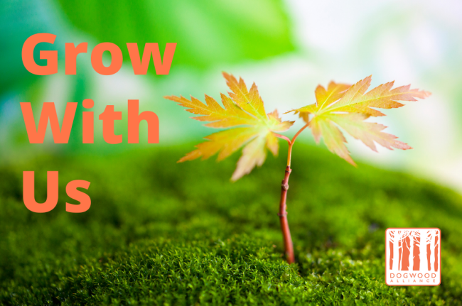 Grow-With-Us-650×431