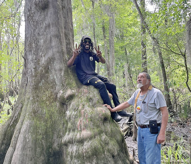 community-conservation-cypress-tree-swamp-wetlands