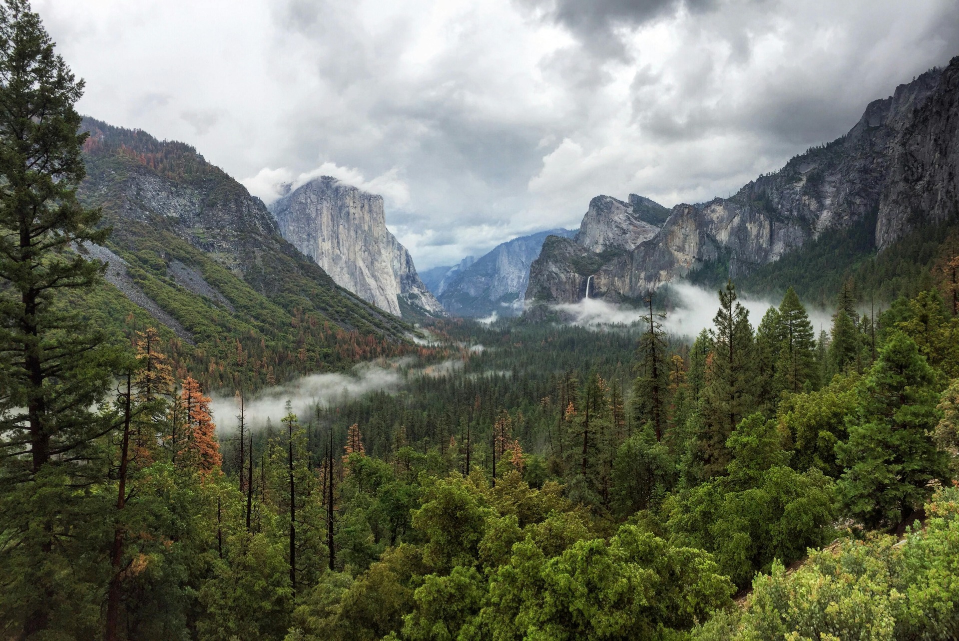 conservation-yosemite-national-park