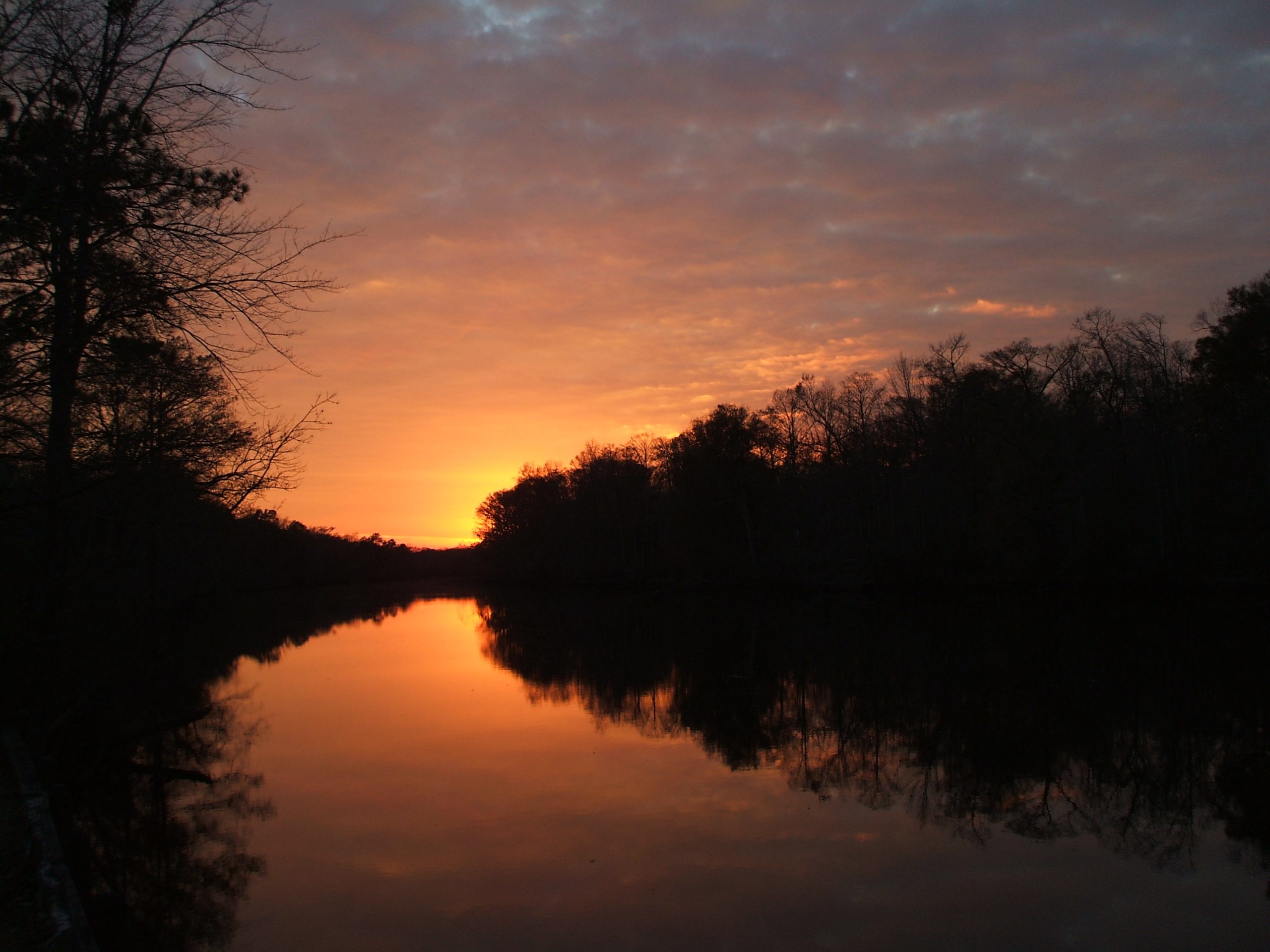 Swamp Sunset