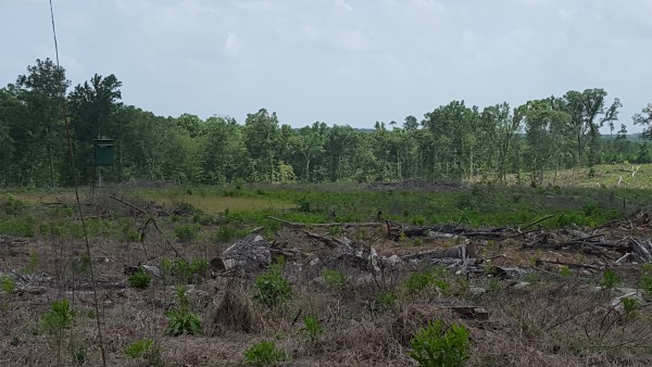 20150616_144656