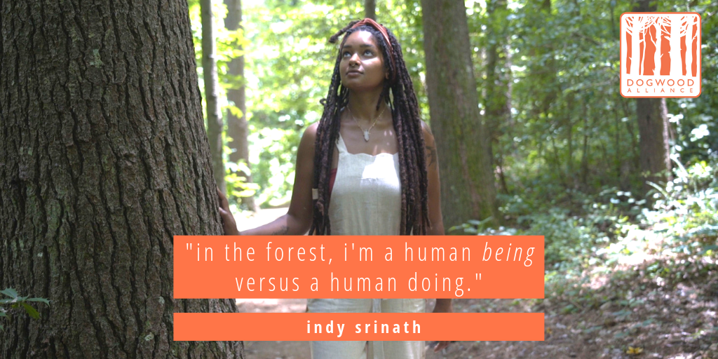 indy-srinath-stories-happen-in-forests