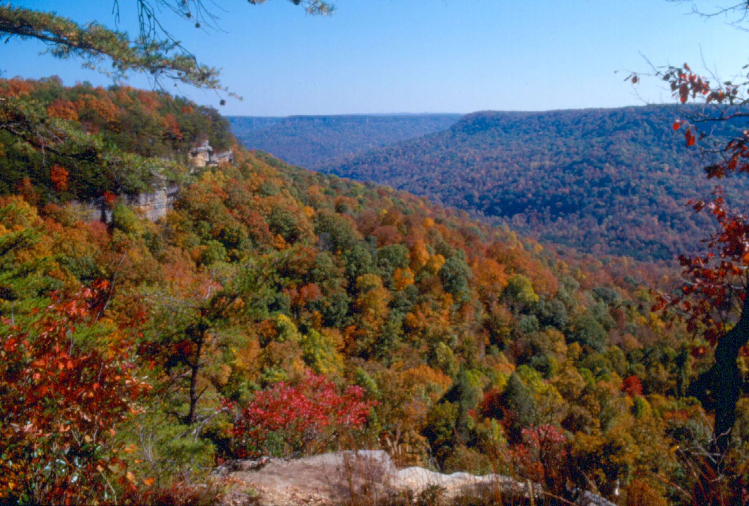 Fall Folliage on the Cumberland Plateau