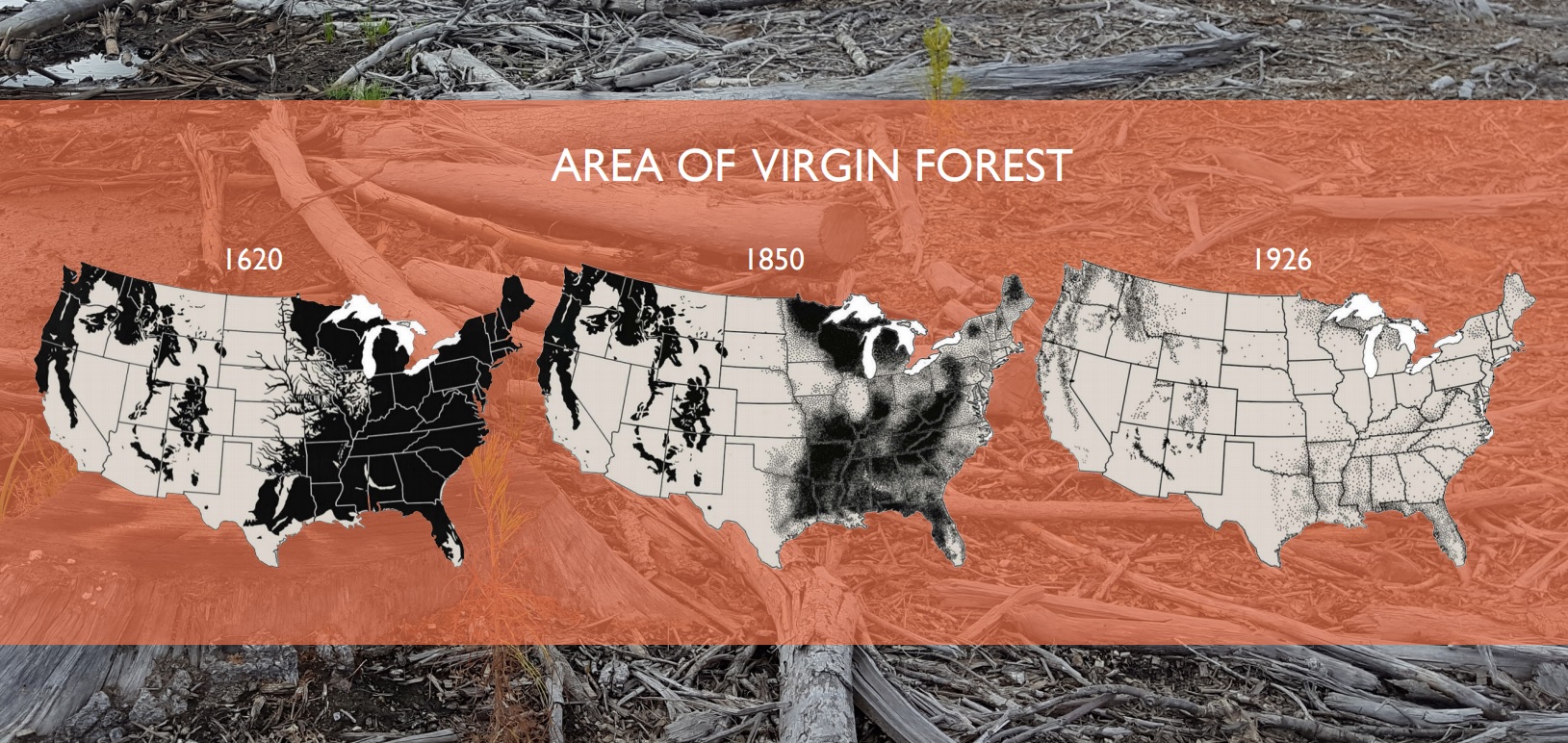area