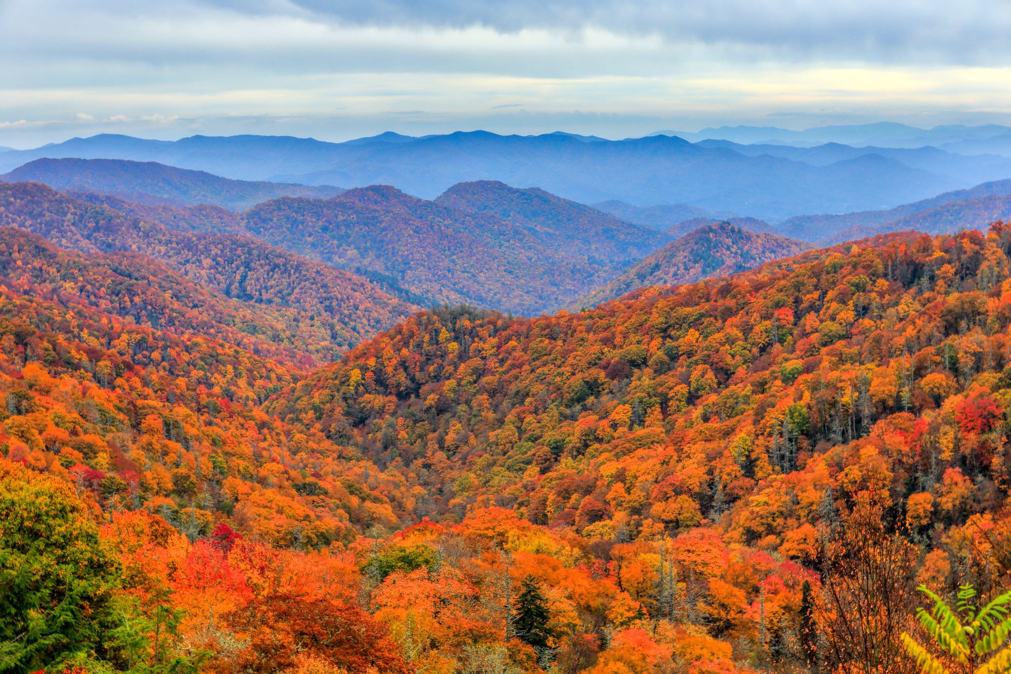 the great smoky mountains
