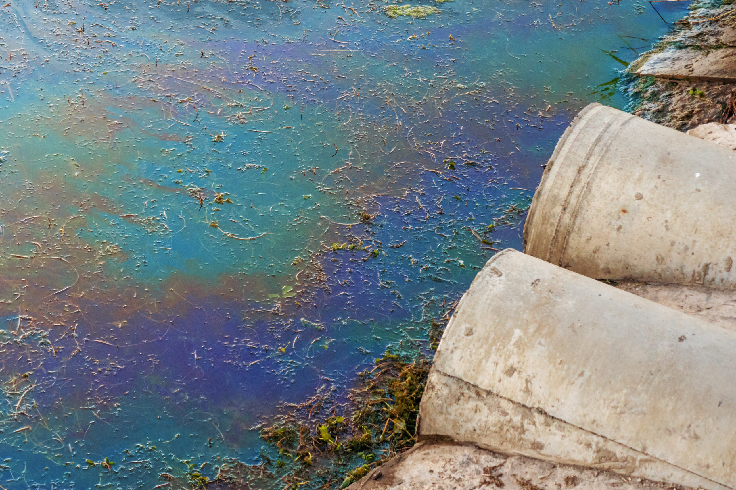 polluted water contributes to environmental racism