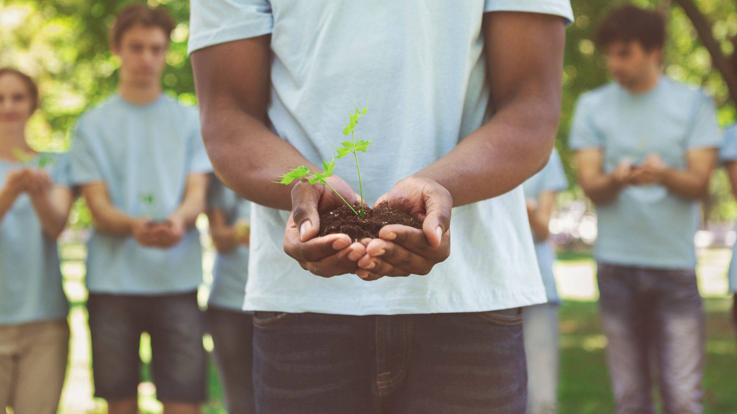 a man holds a seedling