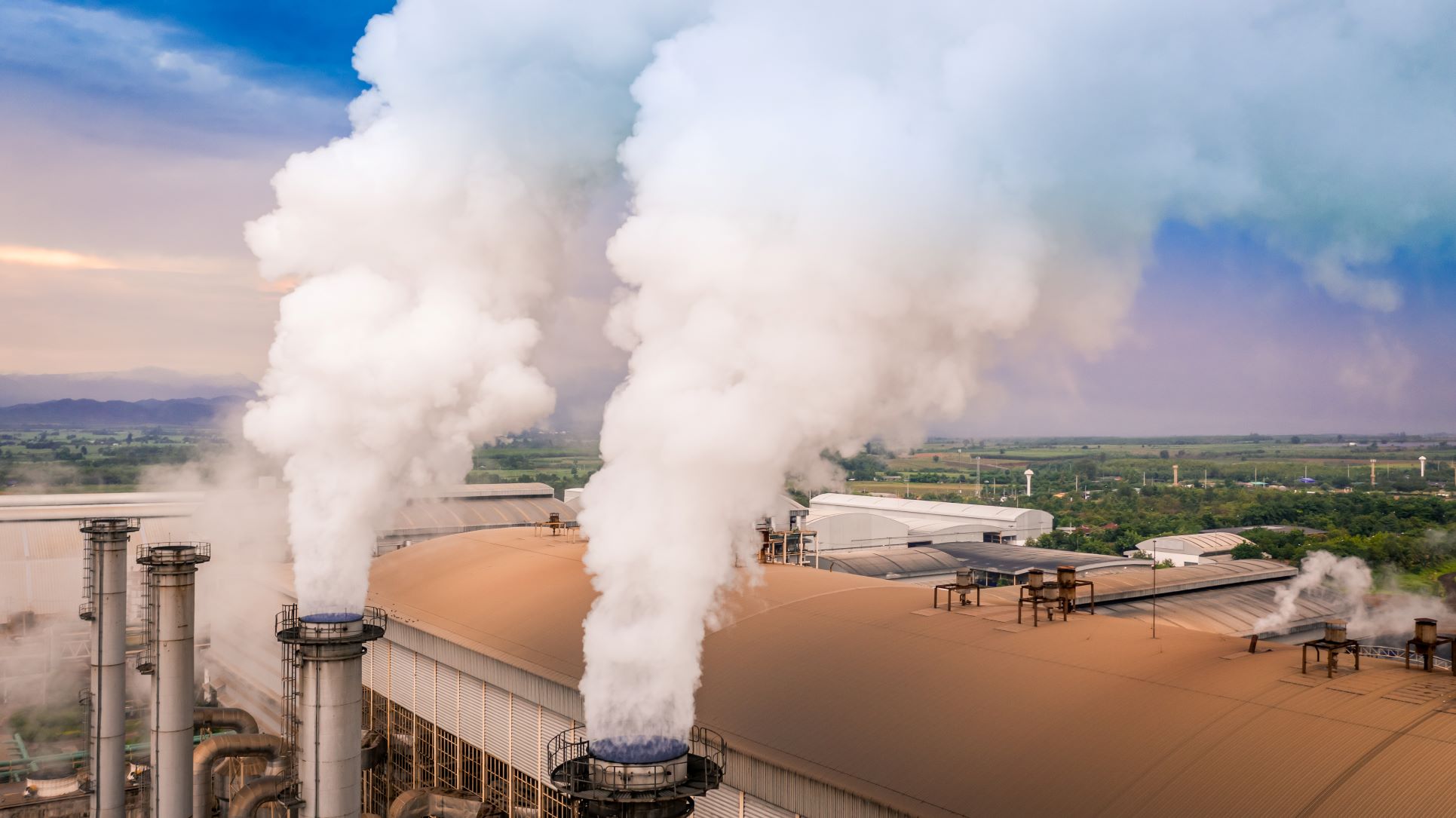 greenhouse gas emissions are produced by burning wood for bioenergy