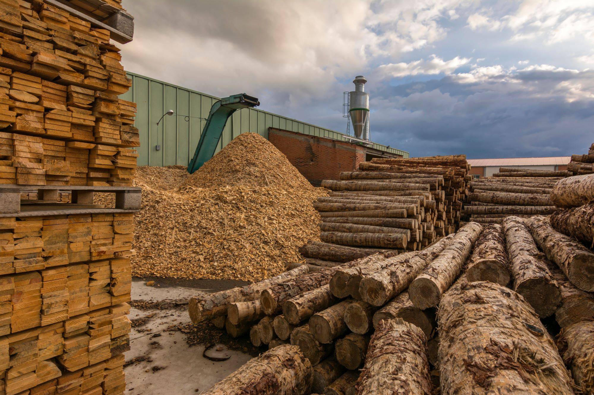 indusrial-logging-is-not-a-climate-change-solution