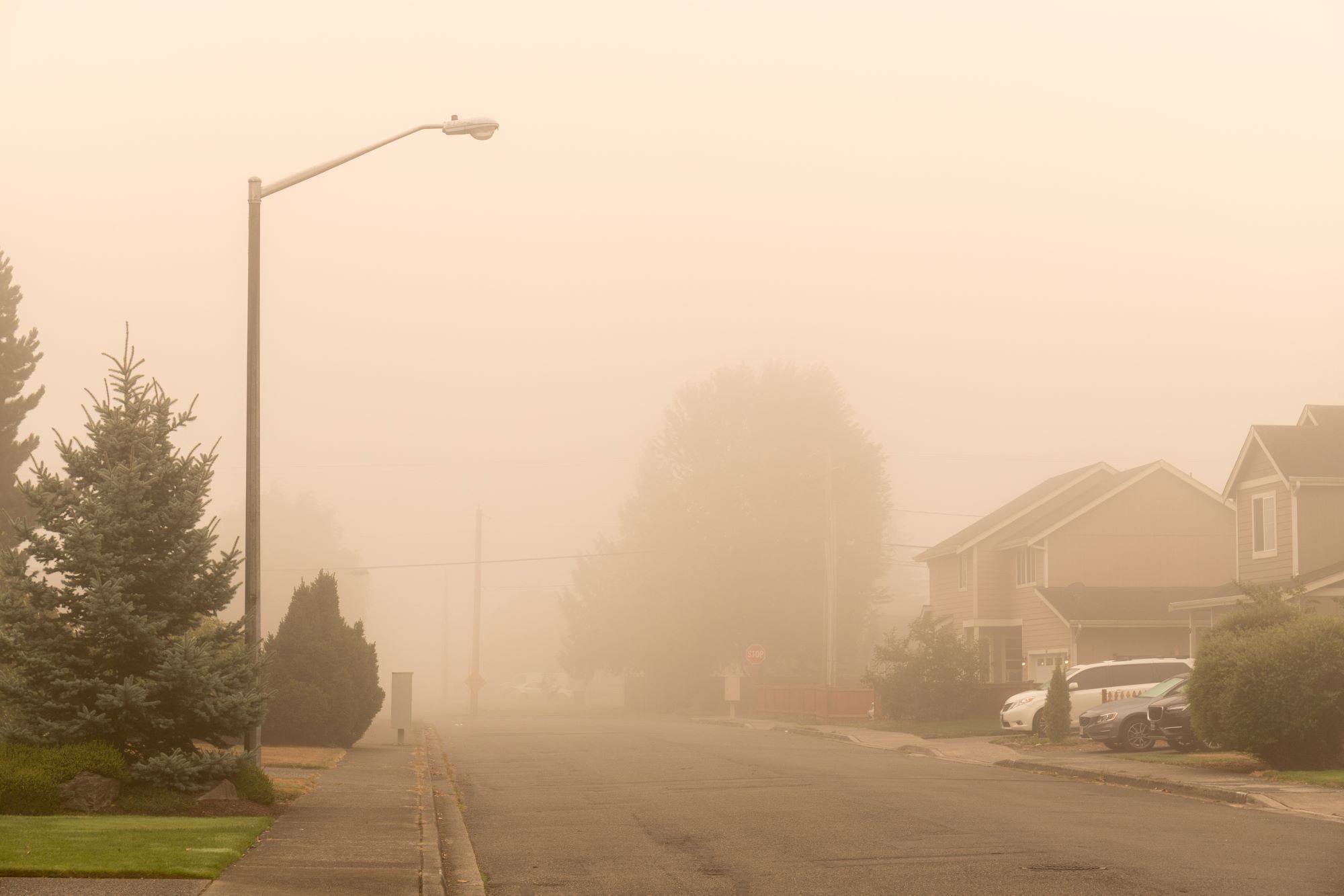 wildfire smoke and haze