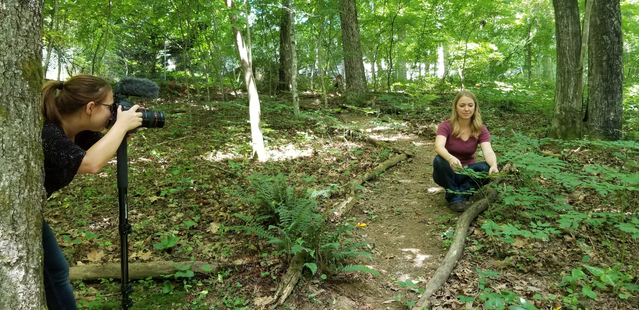 behind-the-scenes-stories-happen-in-forests