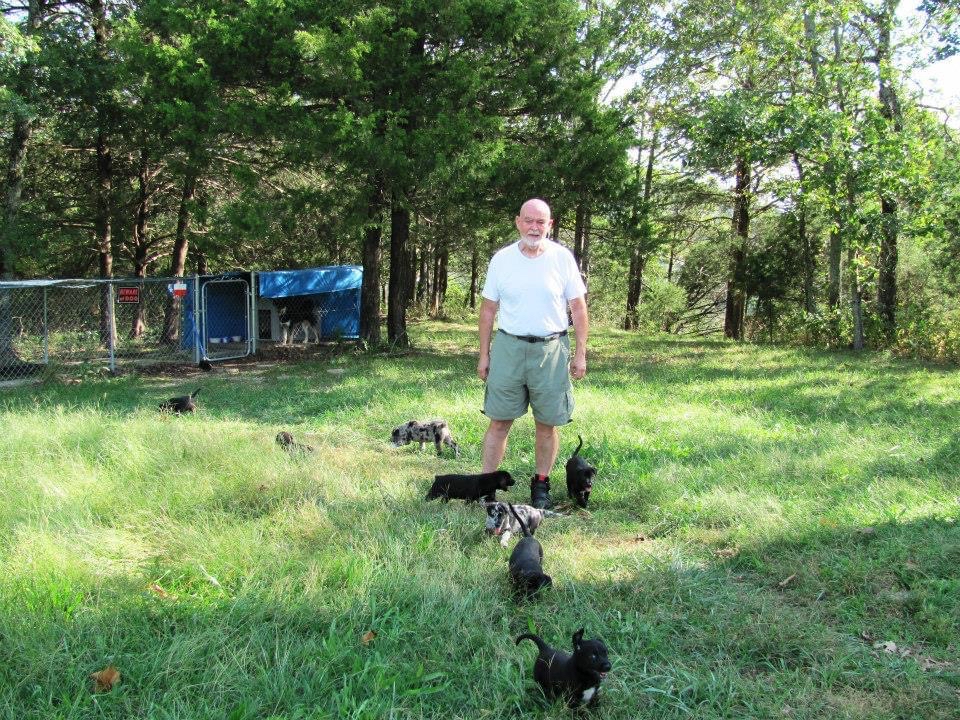 Luis Doc Contreras and rescue dogs