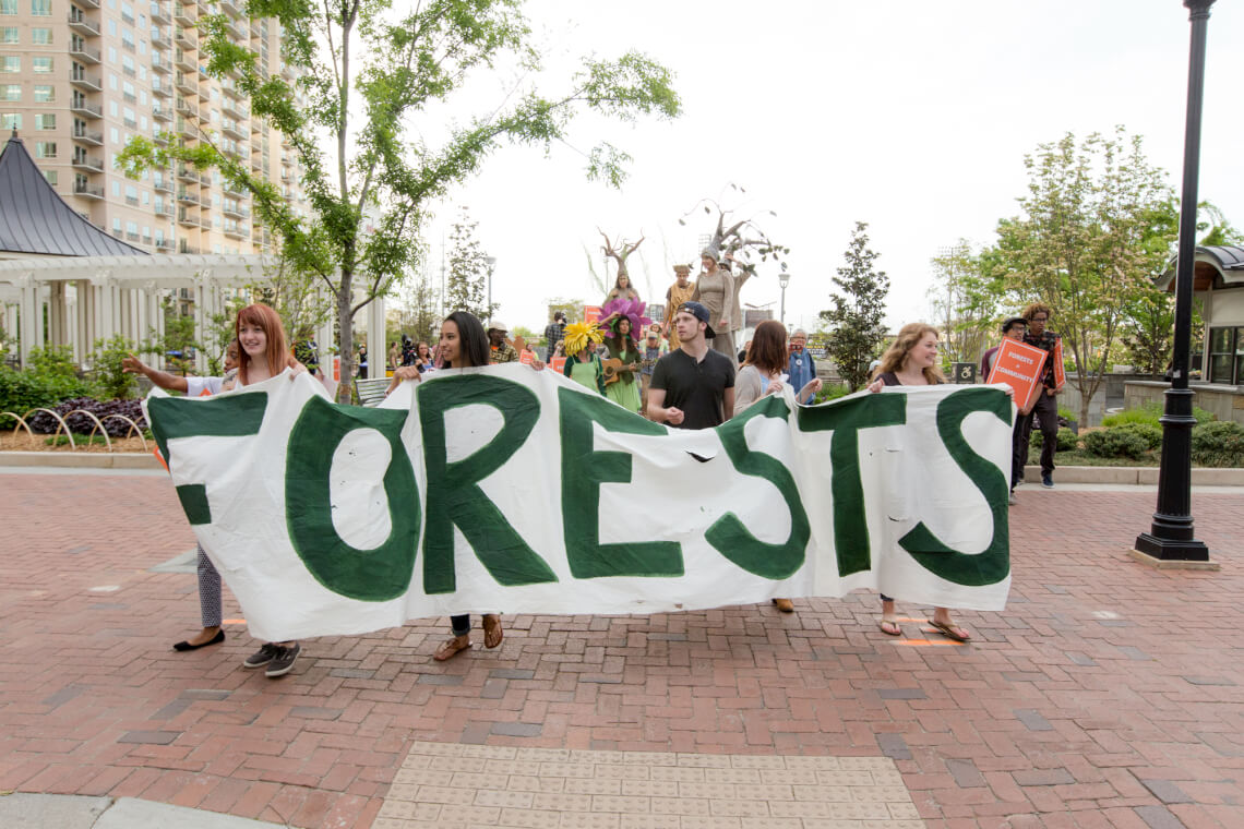 The pressure on the biomass industry to stop clearcutting forests is increasing