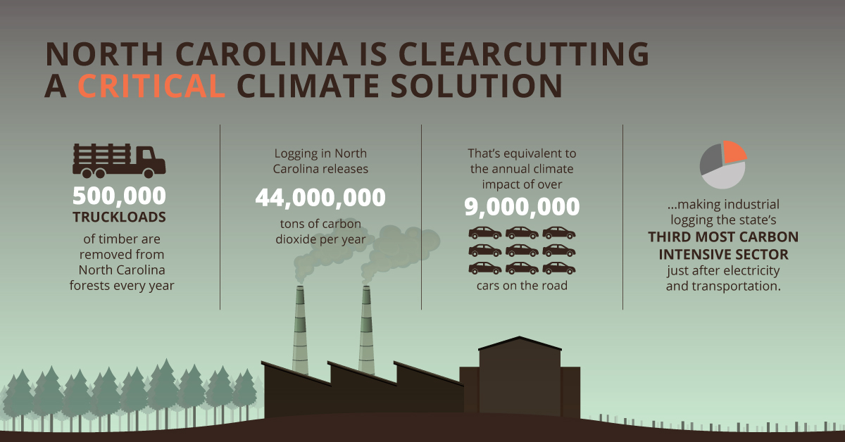 Infographic that reads: North Carolina is clearcutting a critical climate solution. 500,000 truckloads of timber are removed from North Carolina forests every year. Logging in North Carolina releases 44,000,000 tons of carbon dioxide per year. That's equivalent to the annual climate impact of over 9,000 cars on the road... making industrial logging the state's third most carbon intensive sector just after electricity and transportation.
