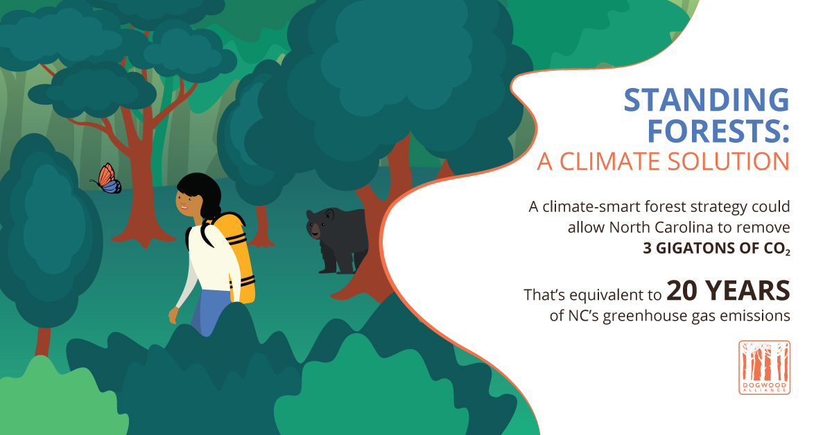 NC Needs a Forest Climate Solution
