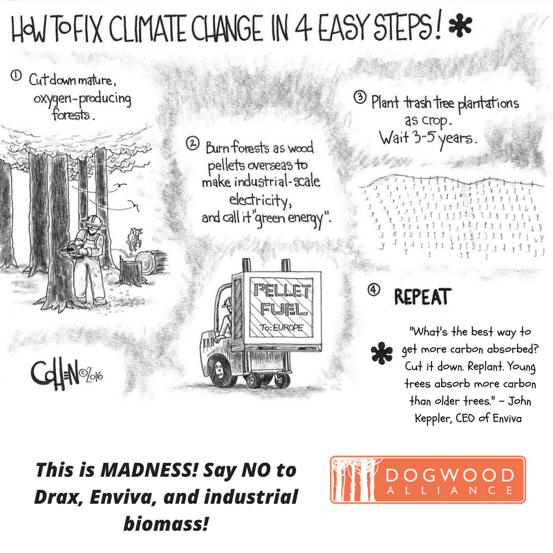 How to Fix Climate Change in 4 Easy Steps