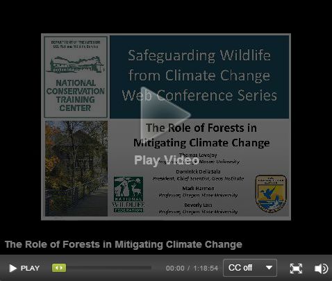 Forest and Climate Webinar Carbon Canopy Forests and Climate