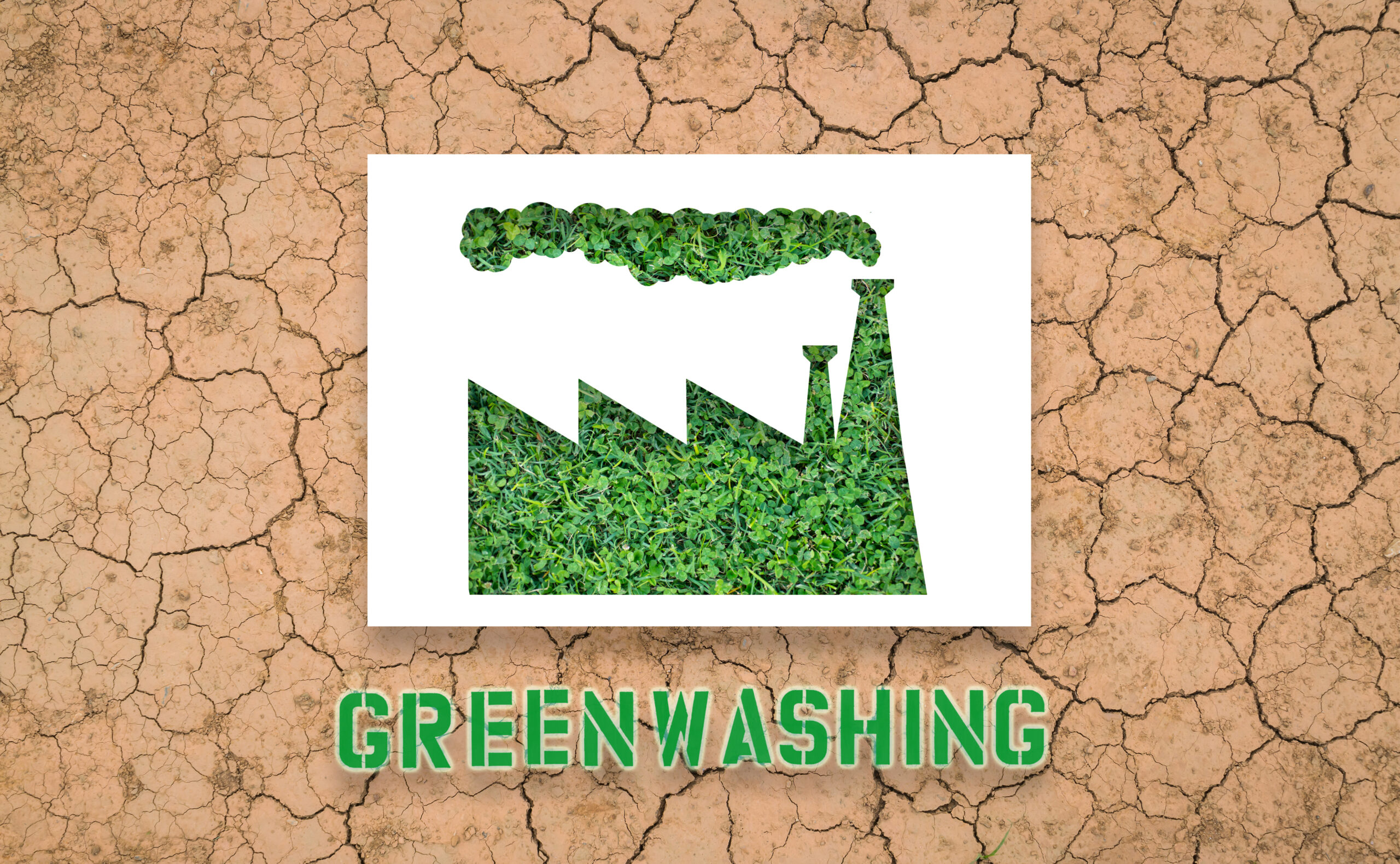 sfi-certification-forest-products-greenwashing