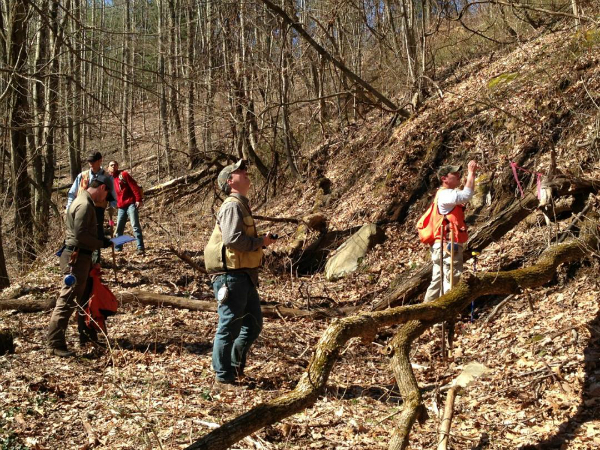 Dogwood Alliance Heartwood Carbon Canopy