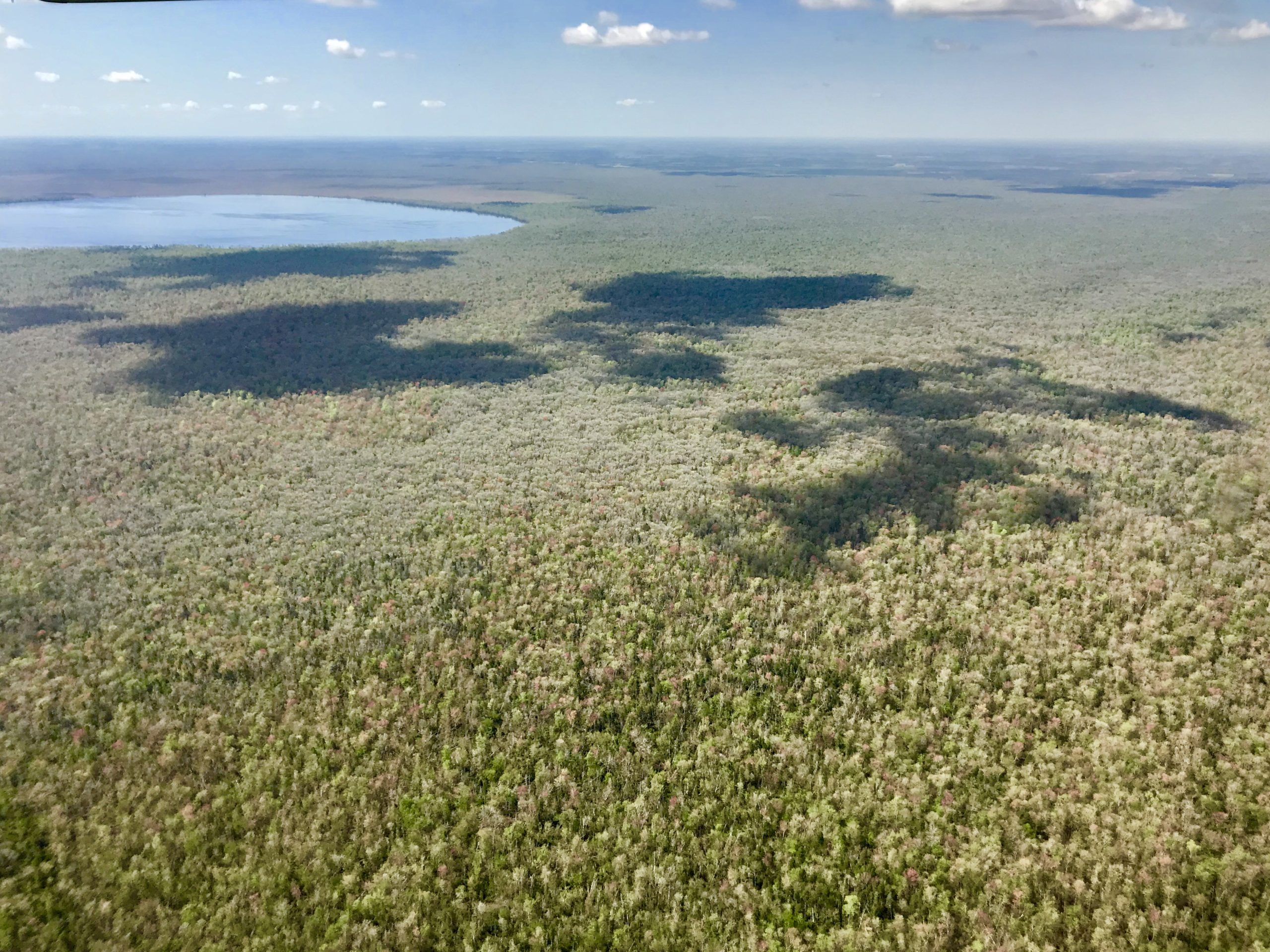 Aerial shot of the Great Dismal Swamp with Lake Drummond in the distance