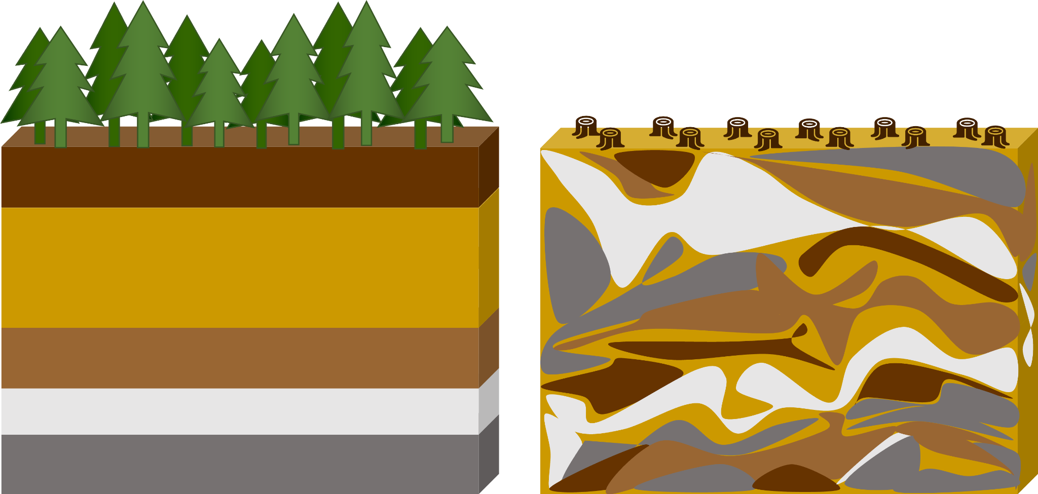 okefenokee-swamp-trail-ridge-infographic