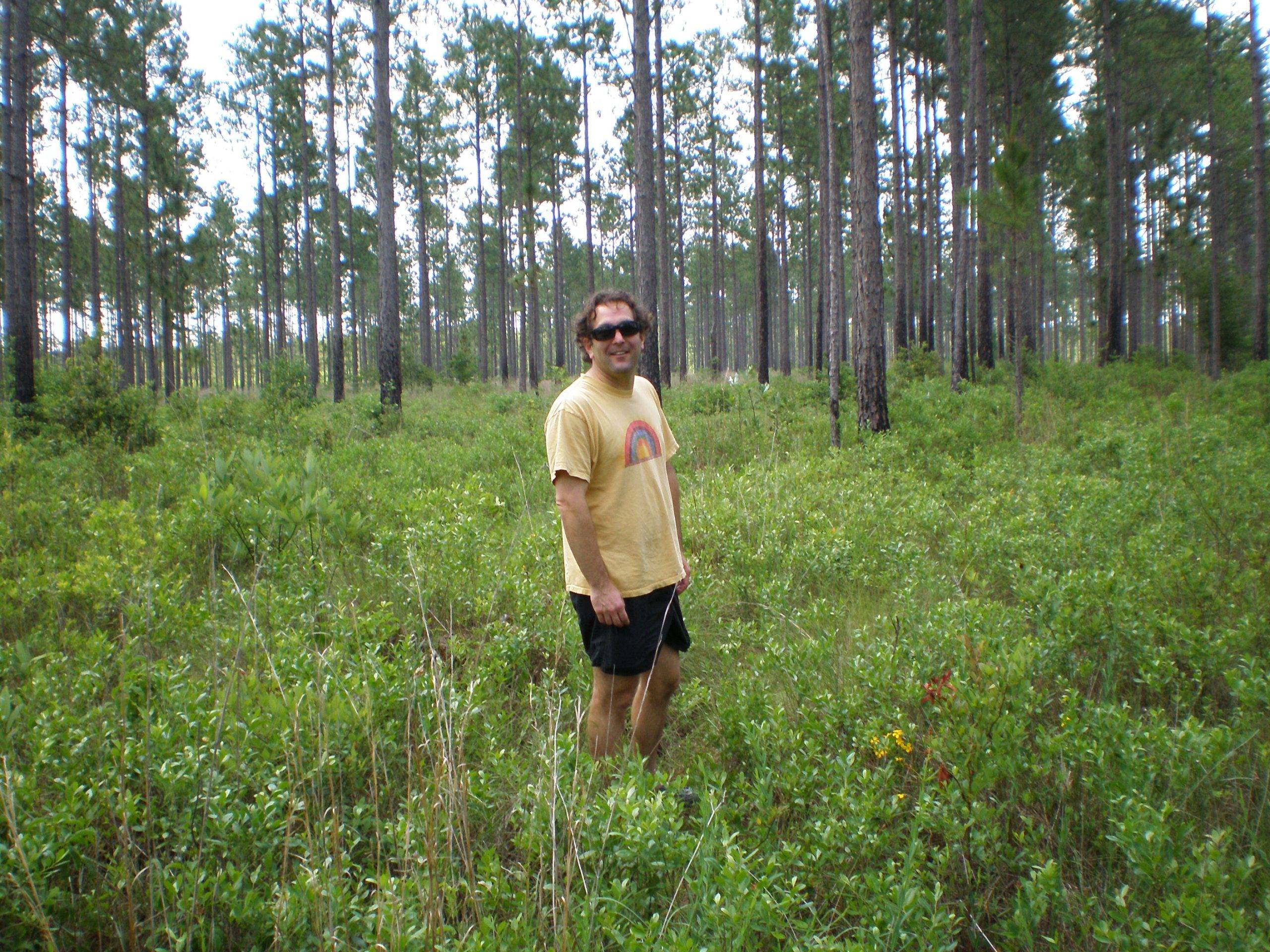 Andrew in the Green Swamp Andrew in the Green Swamp