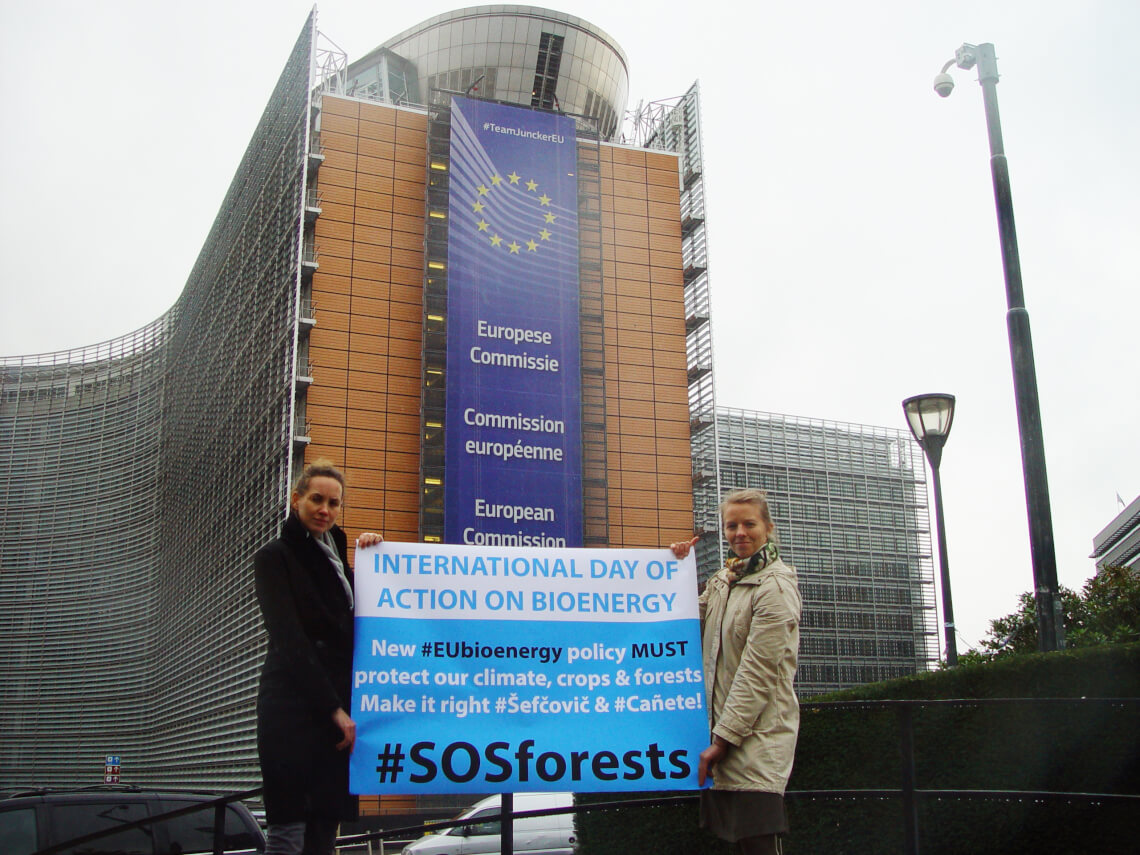 Campaigners from Birdlife International and Fern deliver a 