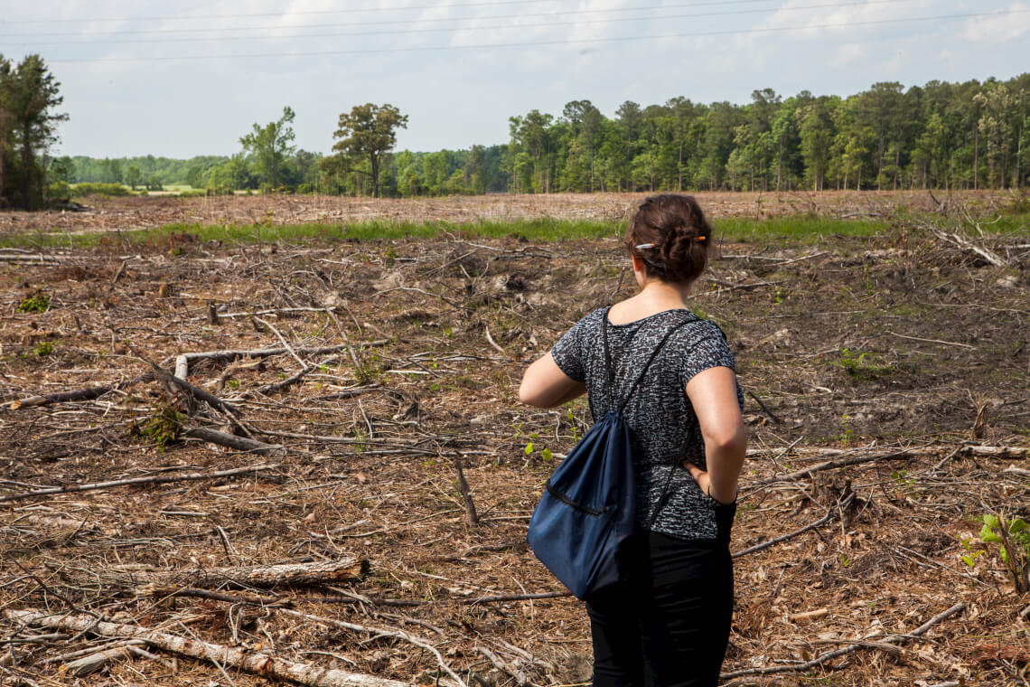 Rachel looking at clearcut