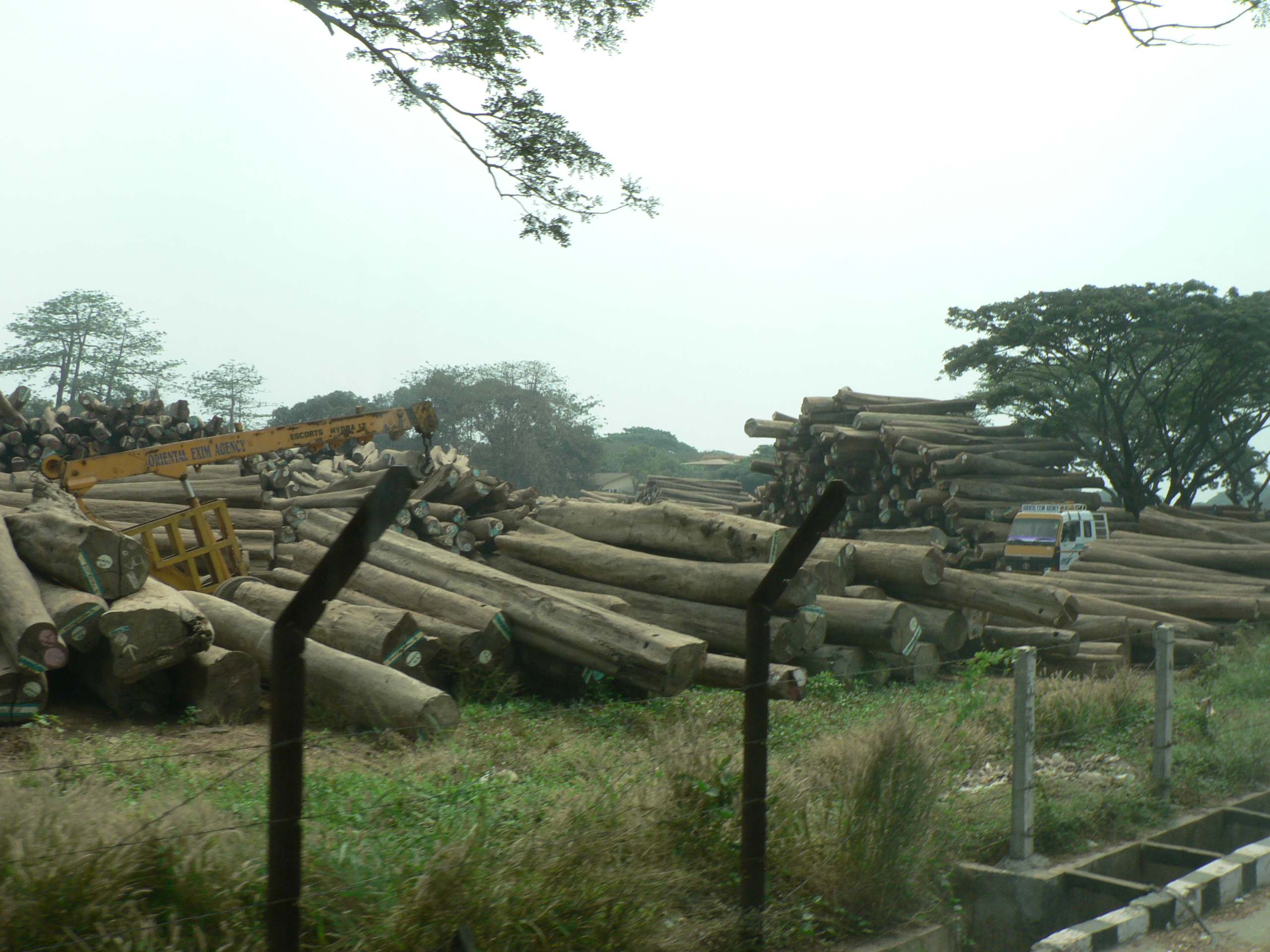 Teak in Cochin, India, Shipyard Teak in Cochin, India, Shipyard