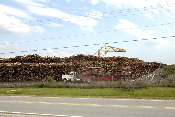Logging truck loaded with trees drives inside the Enviva Ahoskie facility. Trucks just like these enter the pellet facility at estimated rates of 10-25 trucks per hour.