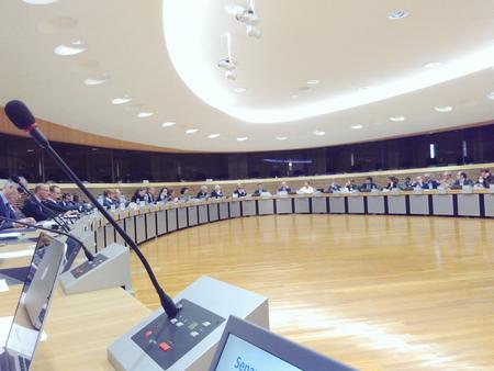 EU Commission international stakeholder meeting to consult on the future of EU bioenergy policy Kenneth Richter