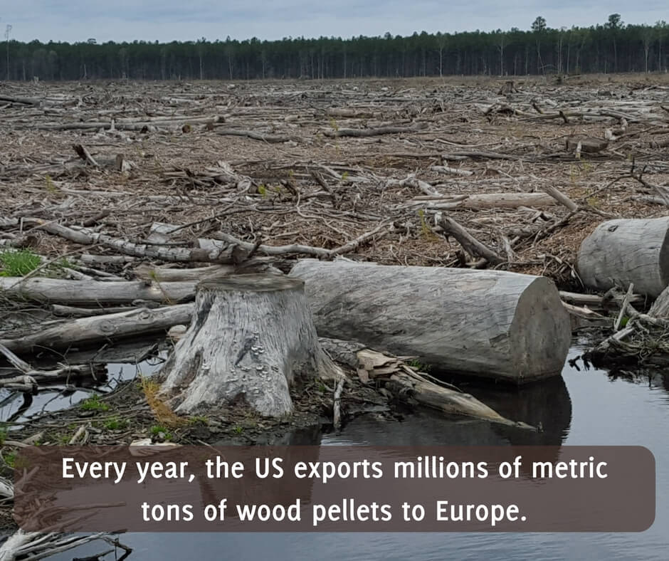 clearcut/whatsatrisk