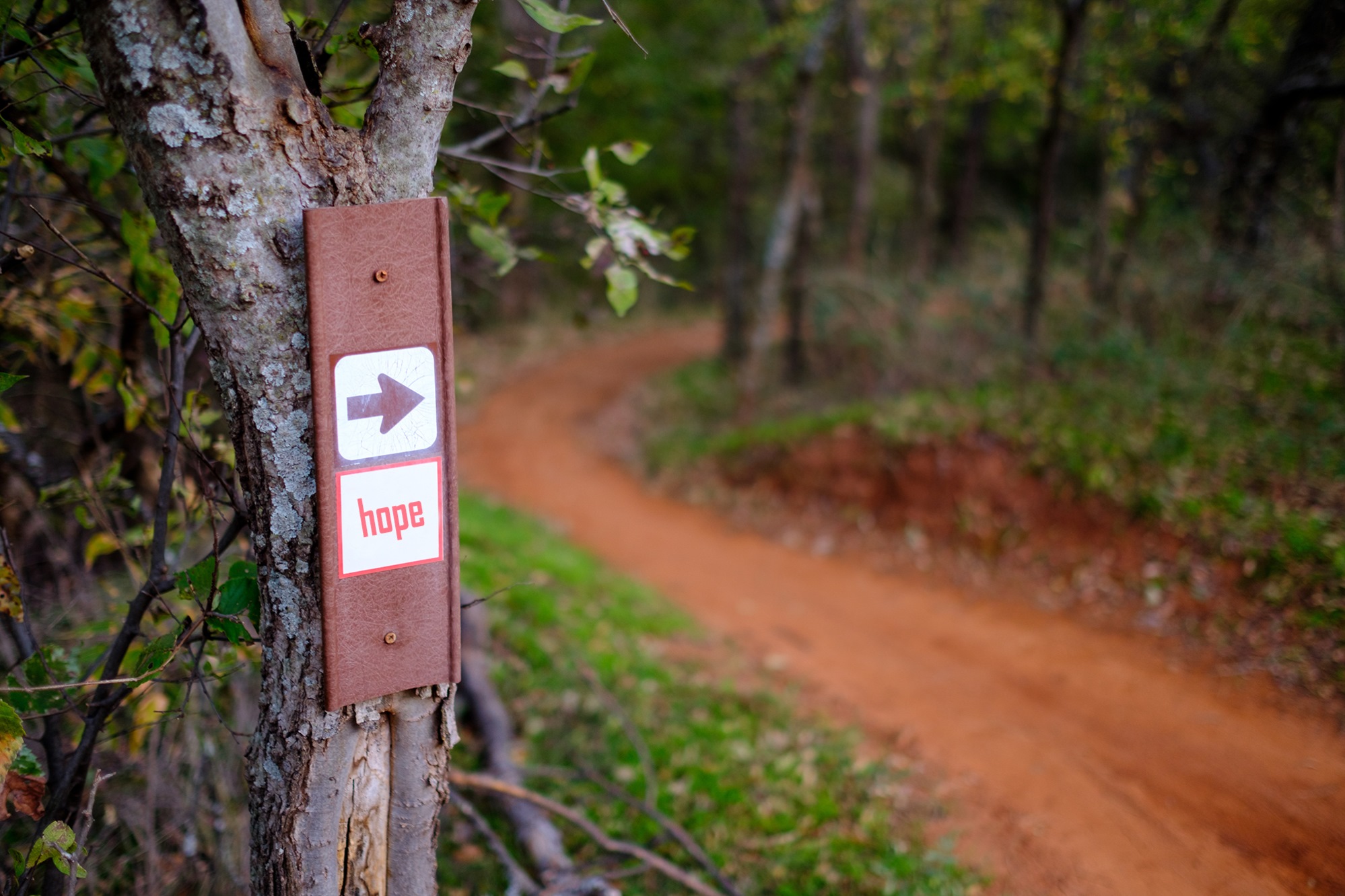 hope sign in a forest