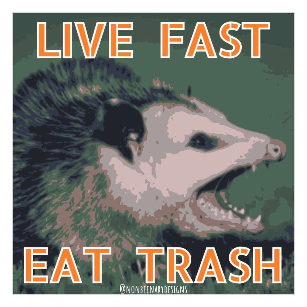Life Fast Eat Trash Opossum Artwork by @nonbeenarydesigns