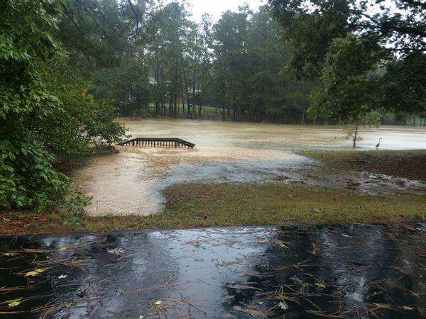 matthewflooding