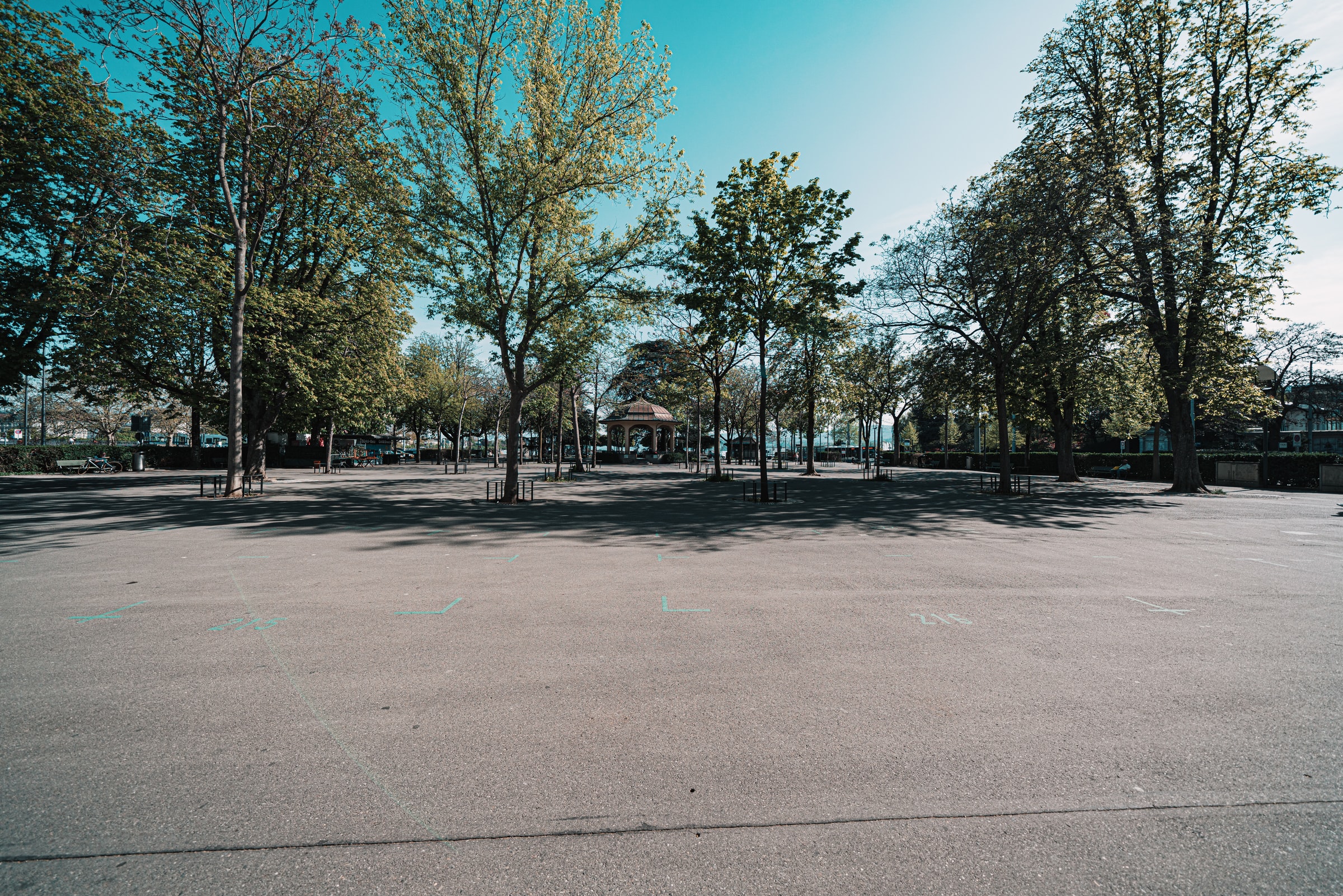 trees-parking-lot-clean-water-act-wotus