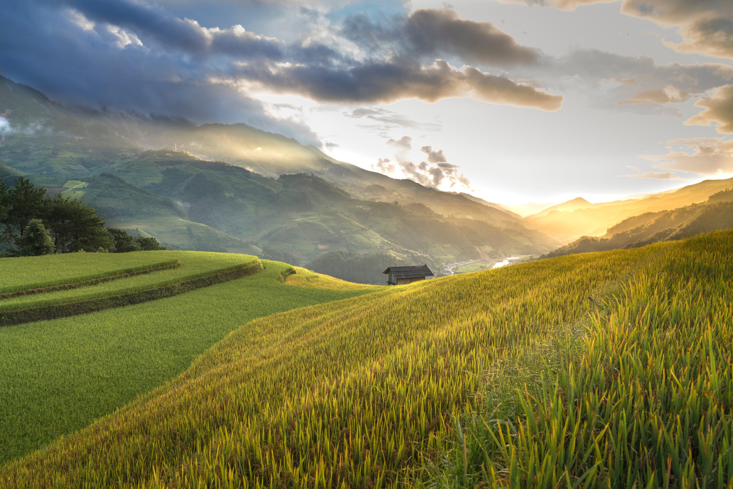 rural rolling hills and farmland
