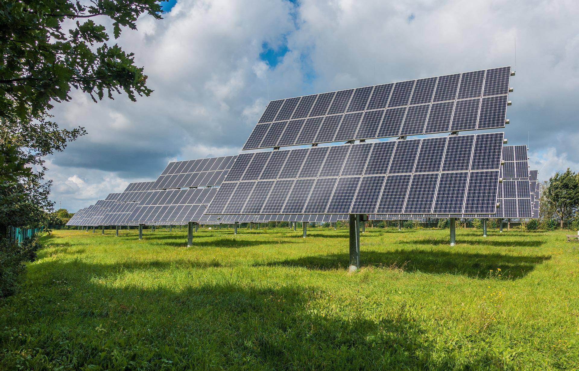 solar panels in a green field