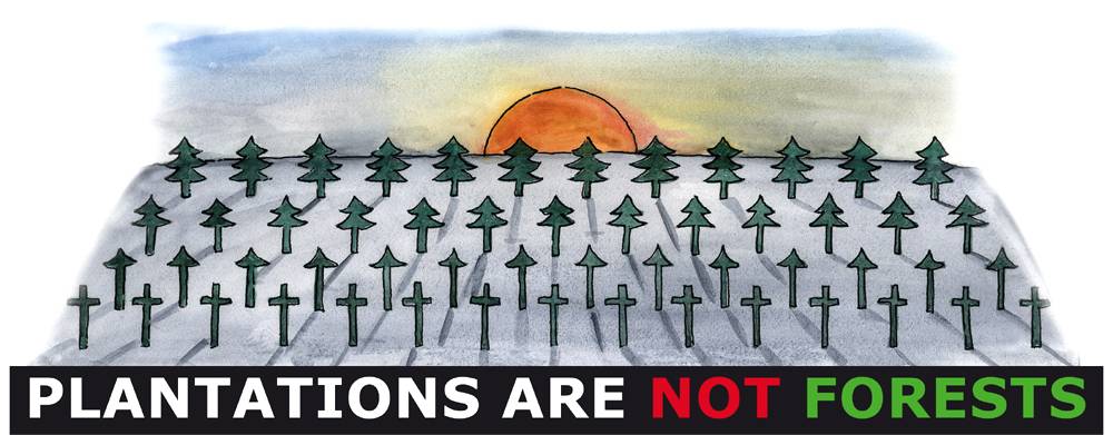 Plantations are not forests