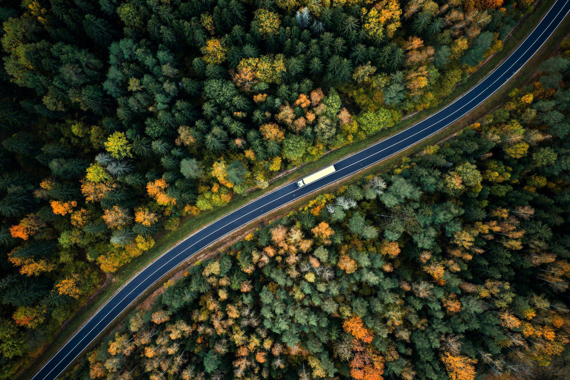forest roads allow semis to move through forests