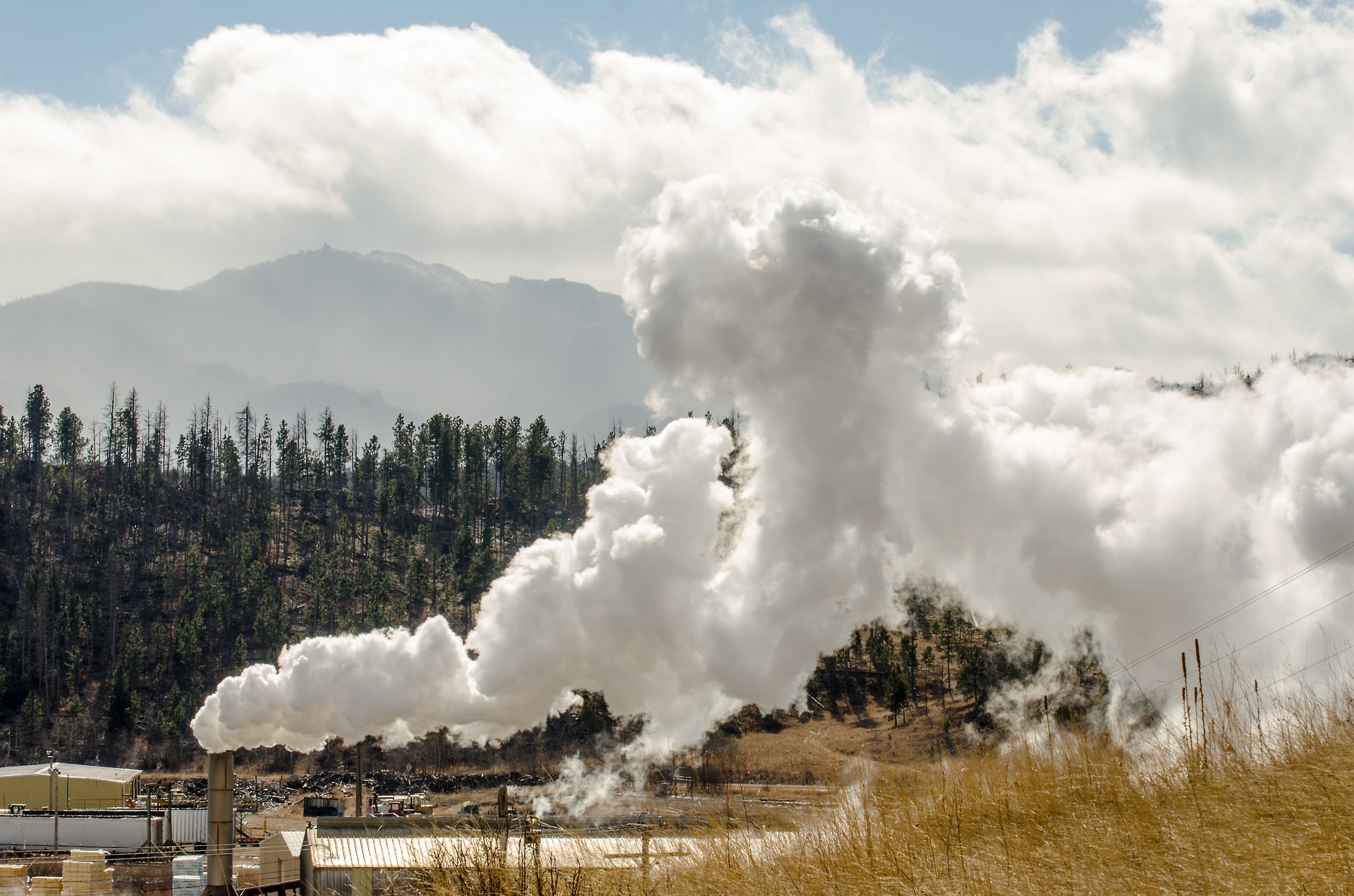 clouds of smoke and pollution from a sawmill facility